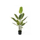 Artificial Calathea Plant Large