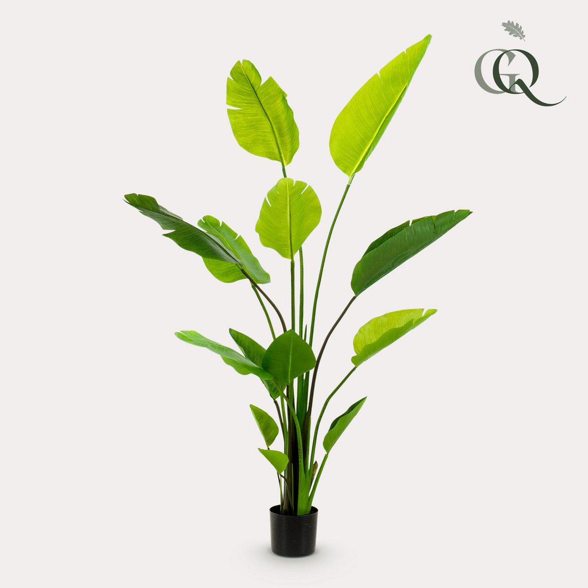 Kunstplant Strelitzia Nicolai 150 cm