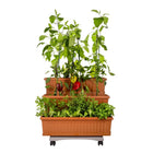 Plantenbakken set 3 stuks 80x74x73 cm terracotta