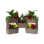 Koppelbare plantenbakken 5 stuks 75L 59x23x27 cm taupe
