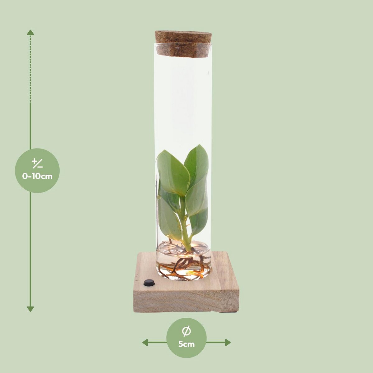 Lock In Glass Tube + LED - Ø5cm - ↕10cm