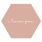 Wall hexagon I love you salmon