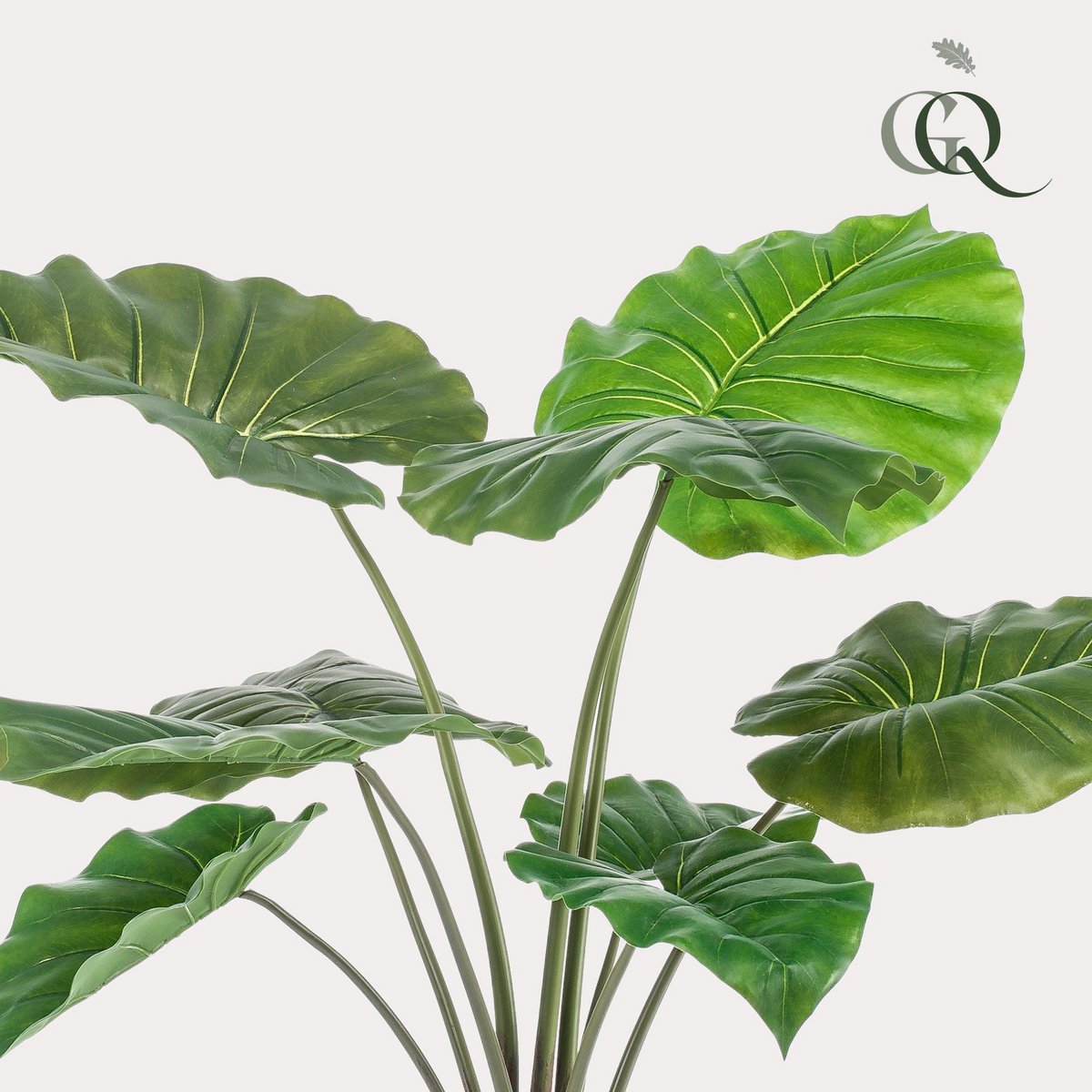 Kunstplant Alocasia 70 cm groen