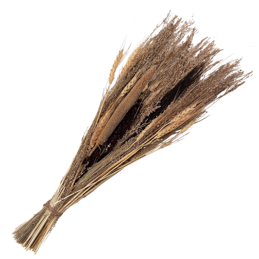 Droogboeket 60 cm beige