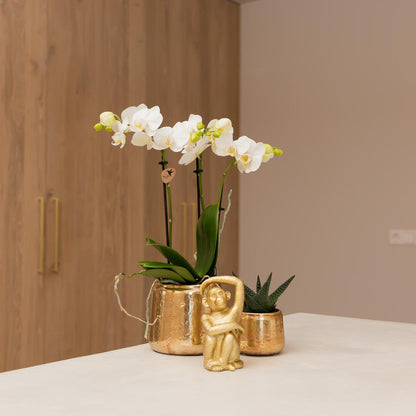 Beeldje aapje polystone 13 cm goud bruin zwart