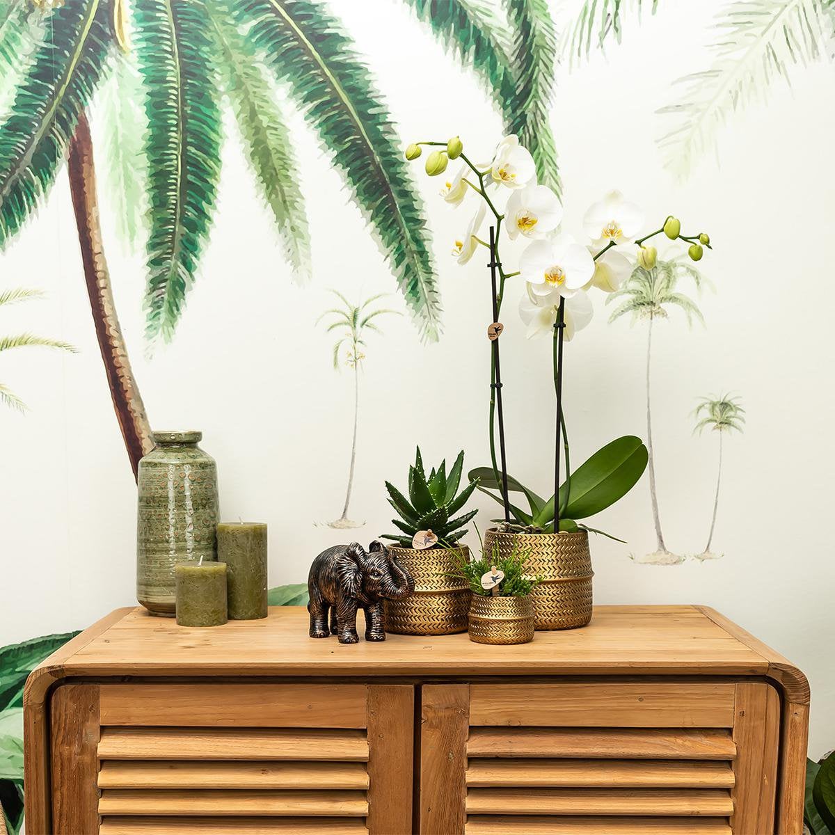 Groove Bloempot van Keramiek – Goud – Potmaat Ø9 cm