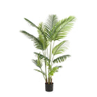 Kunstplant Howea Forsteriana 160 cm paradijspalm
