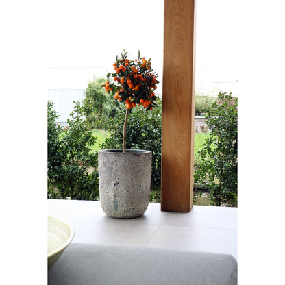 Plantenpot set aardewerk beton Ø36/26 x H45/35 cm