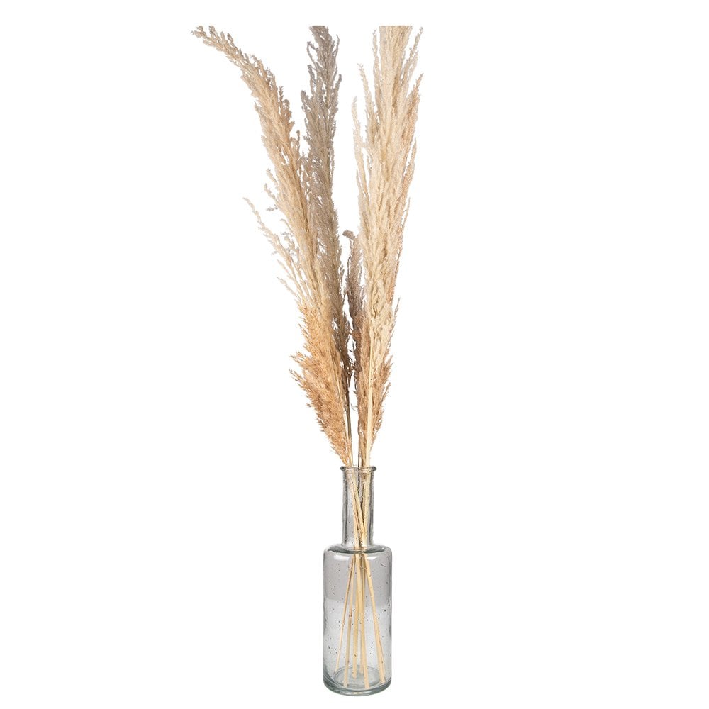 Vaas Ø 11x34 cm glas transparant grijs