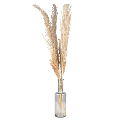 Vaas Ø 11x34 cm glas transparant grijs
