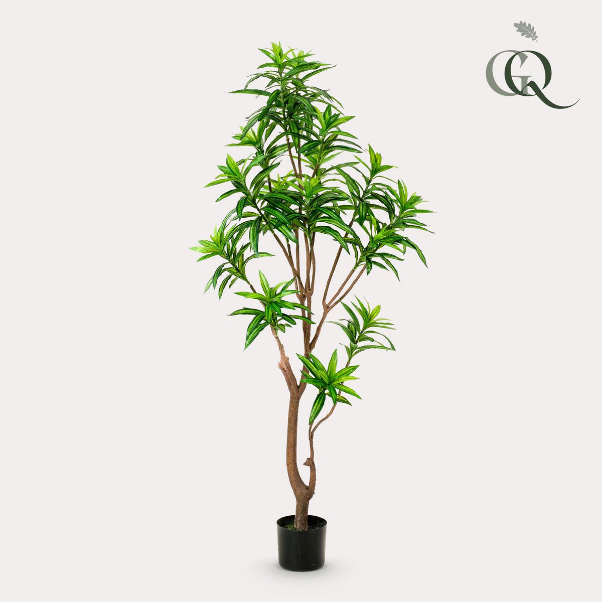 Kunstplant Dracaena 155 cm tweekleurig groen