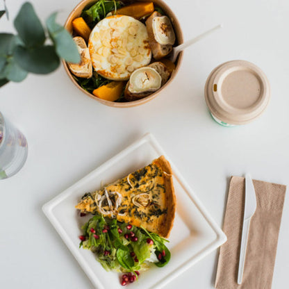 Algon Bordenset Algon Wegwerp Wit Suikerriet Vierkant 20 Cm (12 Stuks)