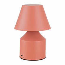 Fbright Bureaulamp Fbright Roze 2 W