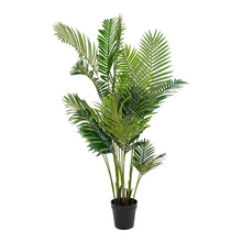 Areca Palm Green Plastic Polyester 64x64x175 Cm Decorative