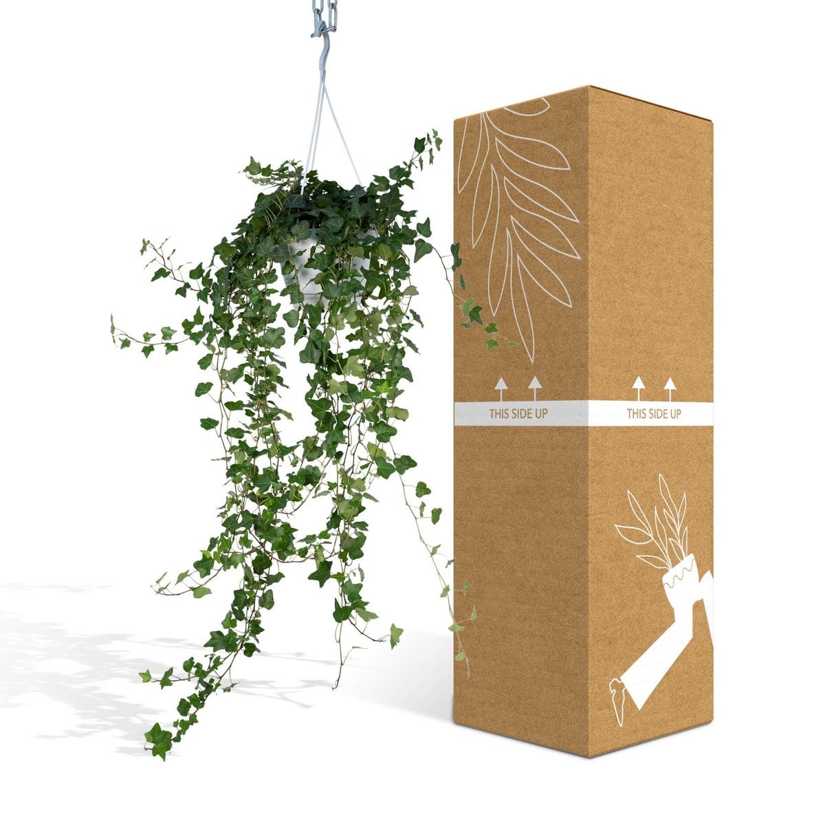 Klimop Hedera Wonder Green Hang Ø17cm 70cm
