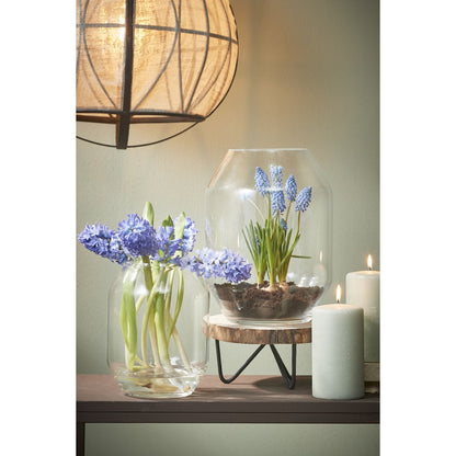 Vaas glas transparant 33x25 cm