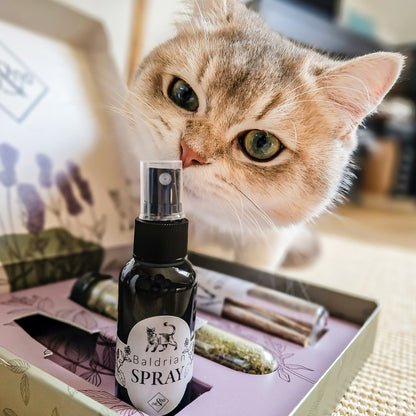 NE & NO® Gift Set Cats Well -being Herbs: Catnint + Valerian Spray + Matatabi Sticks