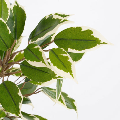 Kunstplant Ficus Natasja 40 cm groen