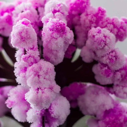 Mad Monkey - Magic Sakura fascinating tree to craft