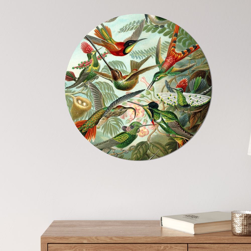 Muurcirkel hummingbirds 30 cm Dibond zwart