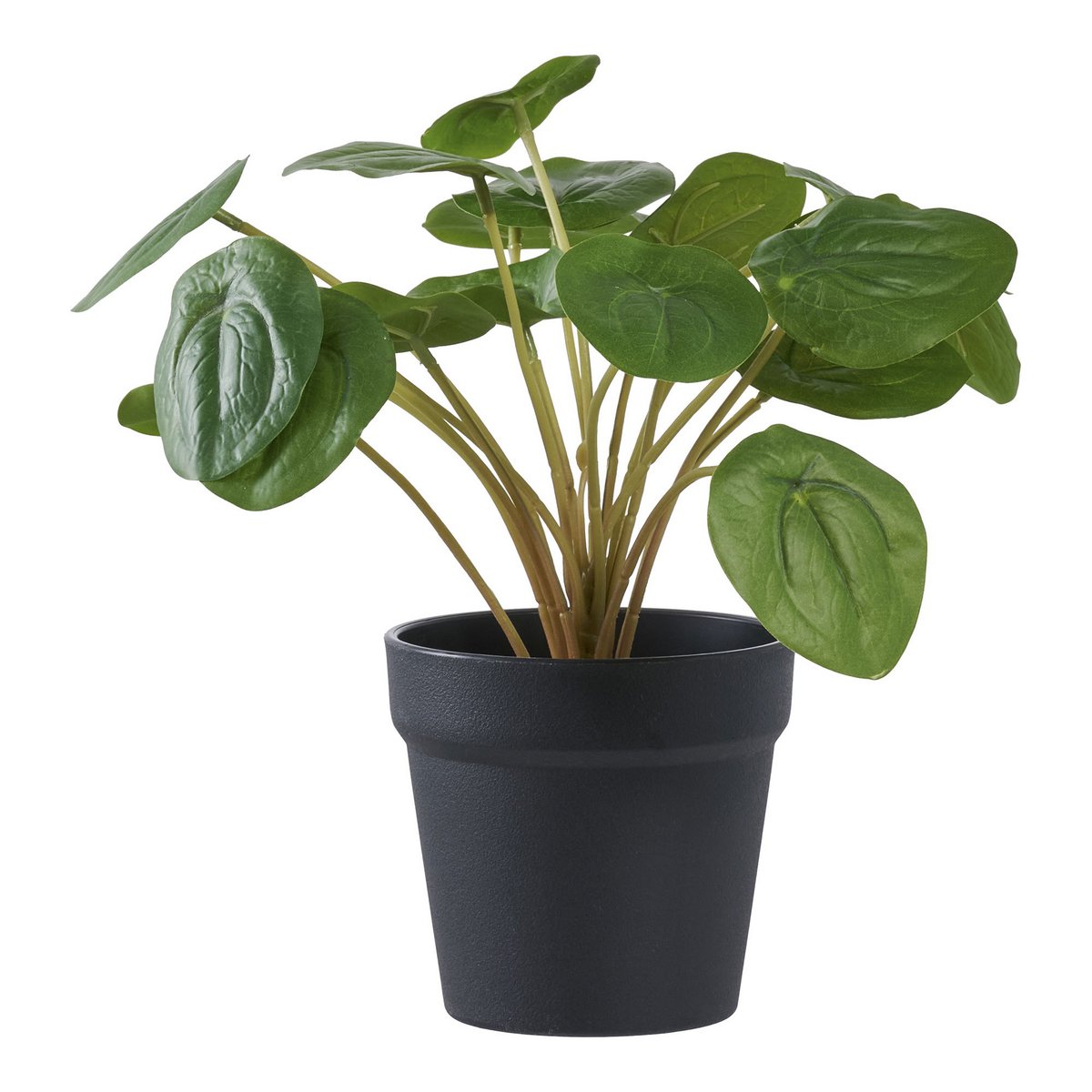 Kunstplant Pelia groen 28x28x28 cm