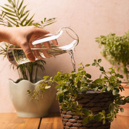 Plant Buddy - Glass Watering Can