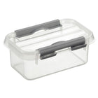 Opbergbox 0.5L transparant zilver 10x15x6.3 cm