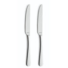 Amefa Table Knives Austin 2 Pieces