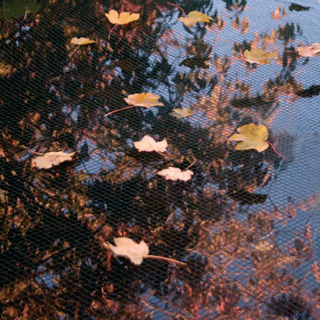 Pond Cover Net PE 3x4 m 1371341 3 x 4 m