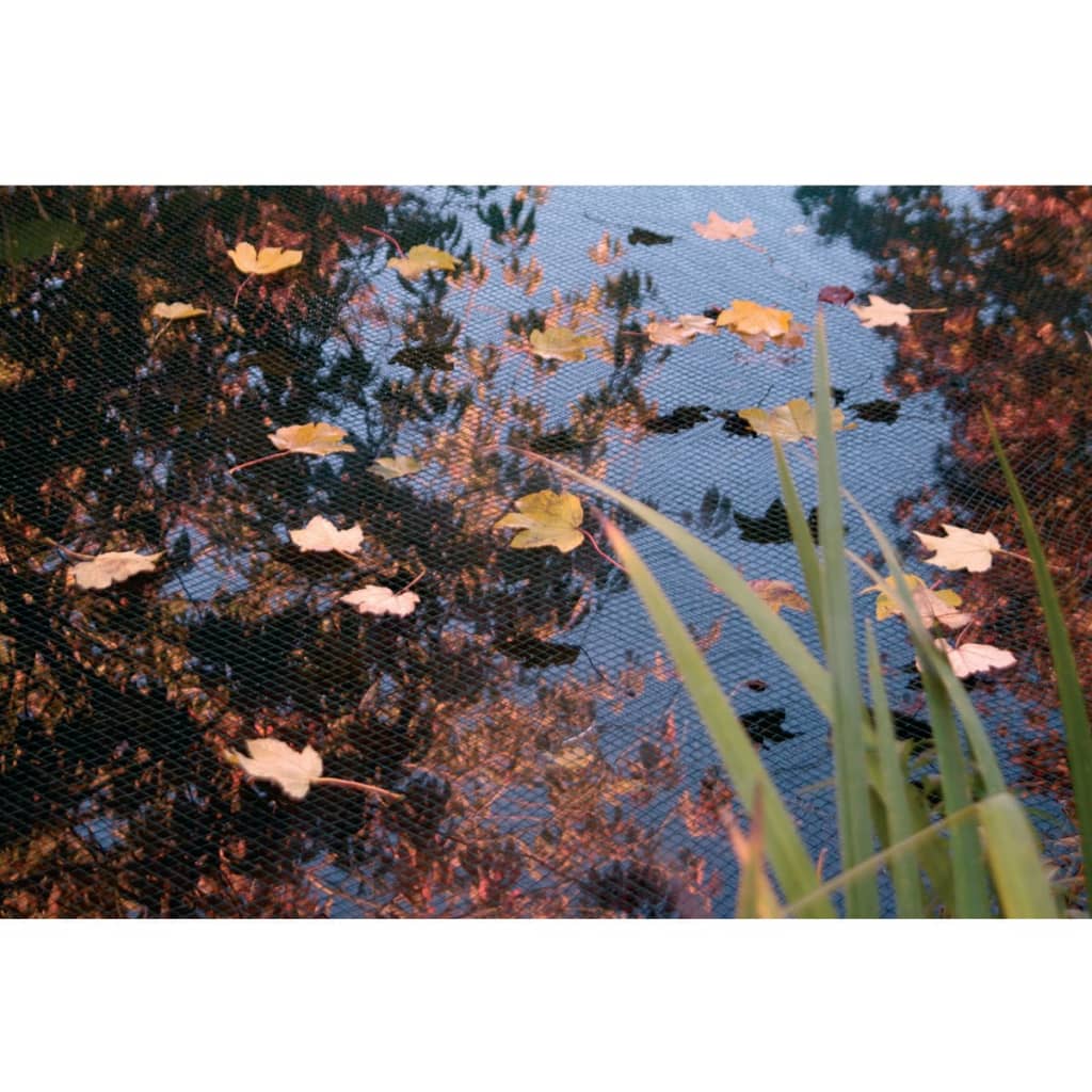 Pond Cover Net PE 3x4 m 1371341 3 x 4 m