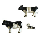Dutch Farm Bull With Cow And Calf