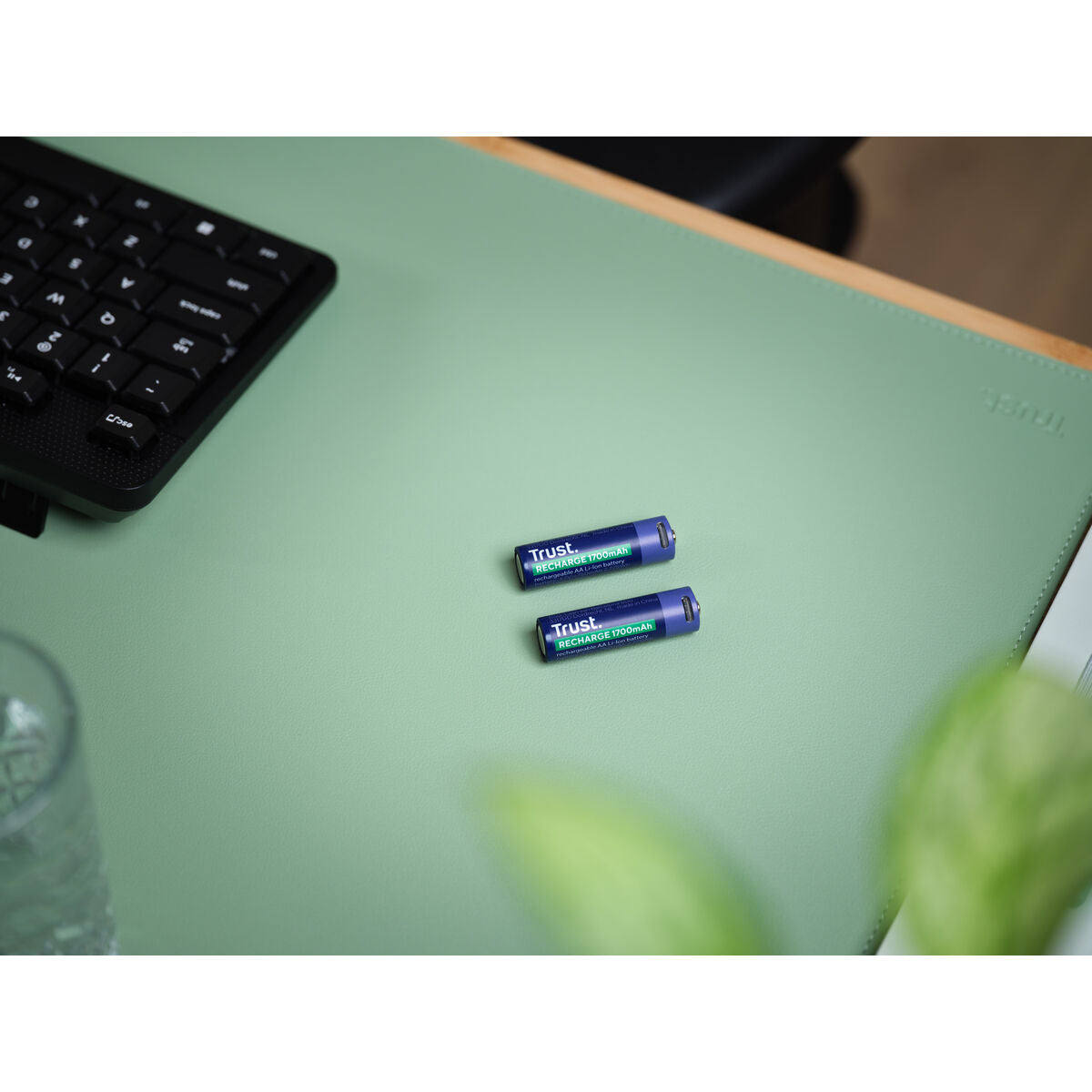 Trust Batterijen Trust 25584