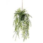 Emerald Kunstplant Hangend In Pot Bamboe 50 Cm