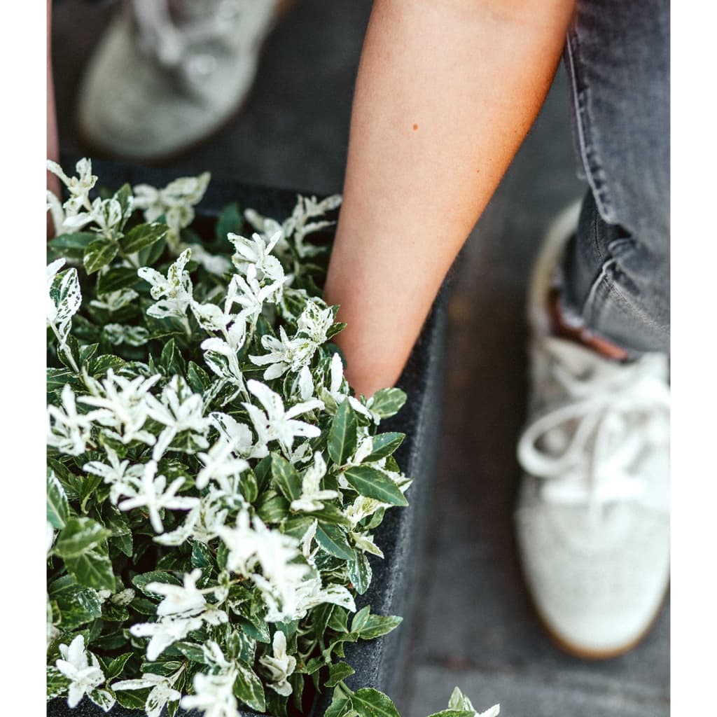 Capi Plantenbak Nature Rib Vierkant Kblr902 Zwart 30 x 30 cm