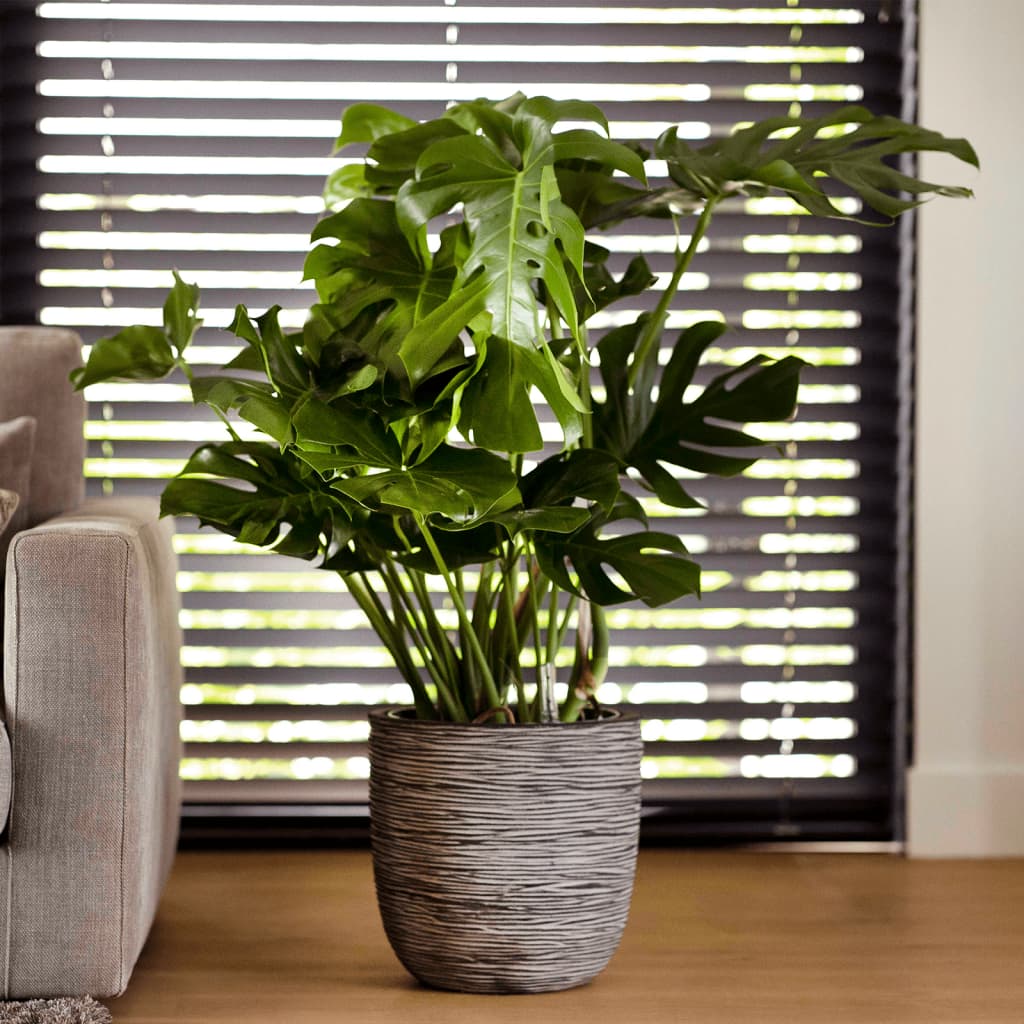 Capi Bloempot Nature Rib Kofz933 Antraciet 43 x 41 cm