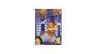 DVD The Hunchback of Notre Dame