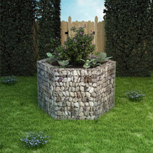 Gabion Plantenbak Verhoogd Zeshoekig 60X40X00 Cm 160 x 139 x 100 cm