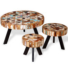 3-Piece Coffee Table Set Solid Recycled Wood