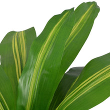 Kunst Dracena Plant Met Pot 90 Cm Dracaena/90 cm