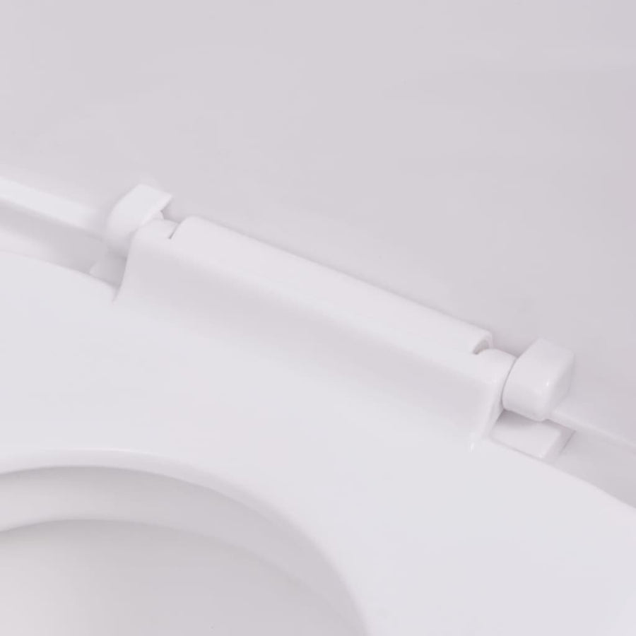 Hangend Toilet Met Verborgen Stortbak Keramiek Wit