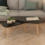 Salontafelset 2-delig massief grenenhout zwart 100x50x40 cm