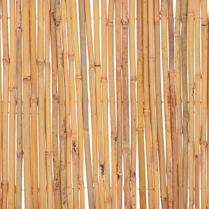 Scherm Bamboe 500 x 30 cm