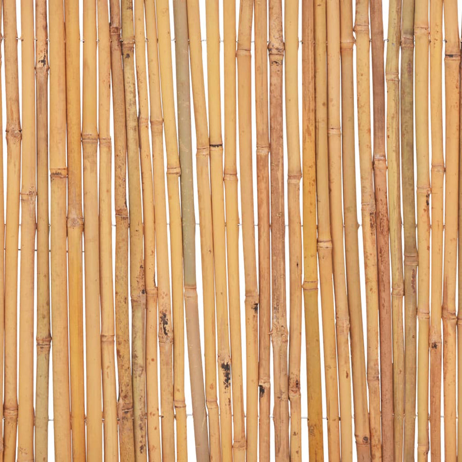 Scherm Bamboe 500 x 30 cm