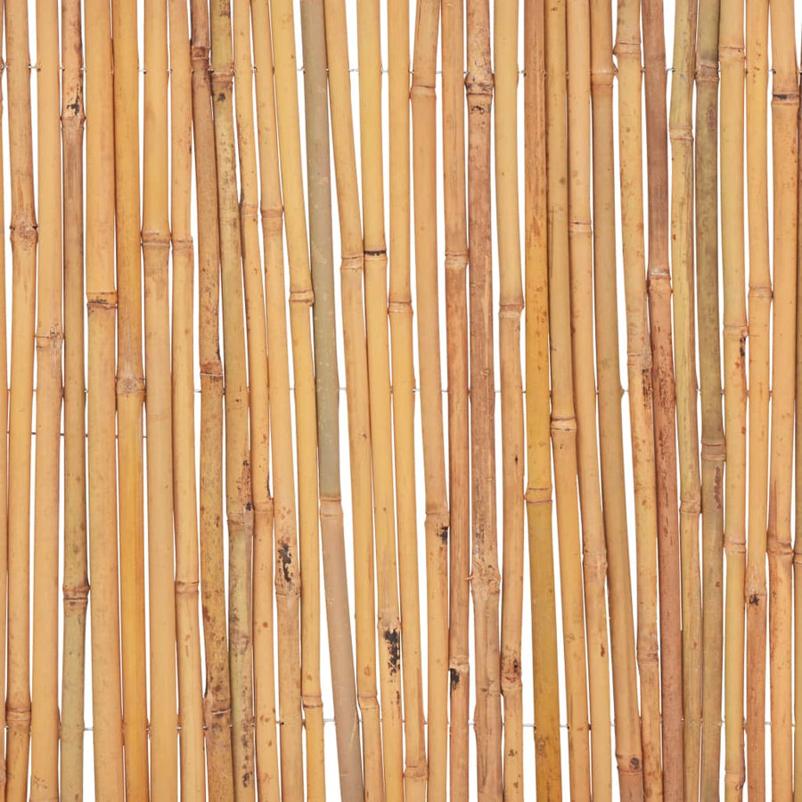 Scherm Bamboe 500 x 50 cm