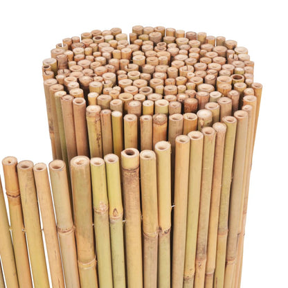 Scherm Bamboe 300 x 100 cm