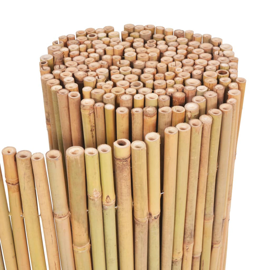 Scherm Bamboe 300 x 100 cm