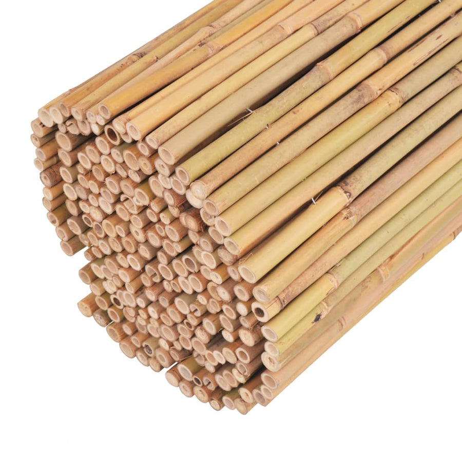 Scherm Bamboe 300 x 100 cm