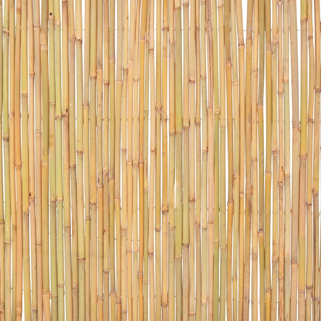 Scherm Bamboe 300 x 100 cm