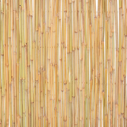 Scherm Bamboe 300 x 100 cm