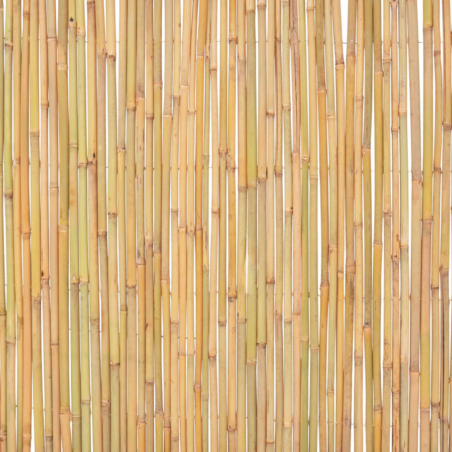 Scherm Bamboe 300 x 100 cm